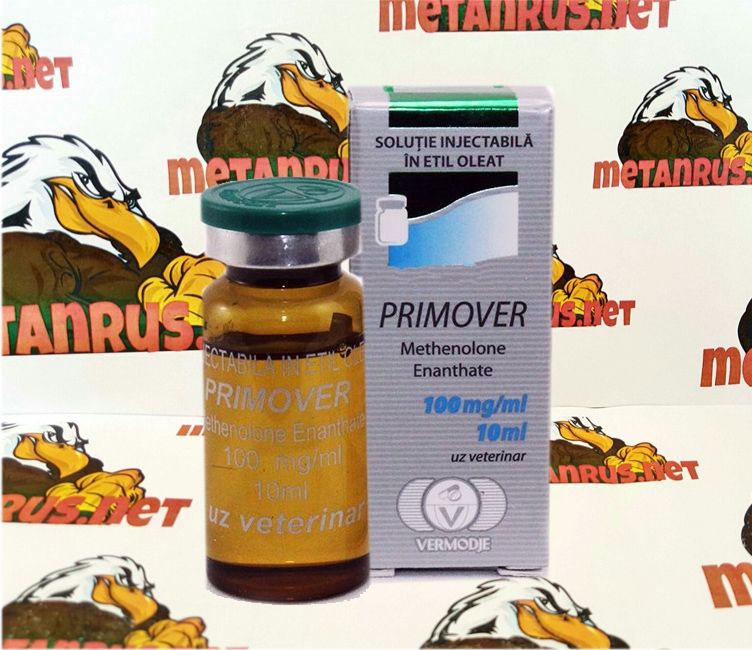 Primozon Horizon обзор